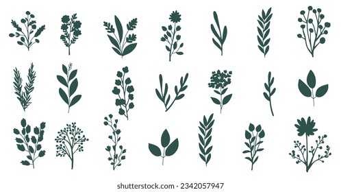 flower picture nature flora vector illustration festival