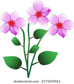 Flower with pink collor vector design