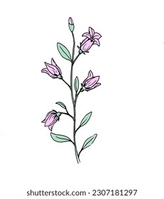 ilustración vectorial dibujada a mano rosa de flores hierba de eps aislada