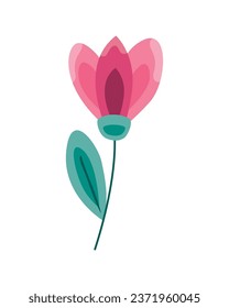 flower pink illustration vector isolated