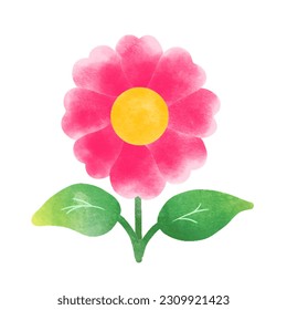 flower, pink, plant, round, round, bossom