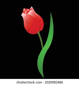 Ilustración vectorial de Flores Rosa Rosa Rosa