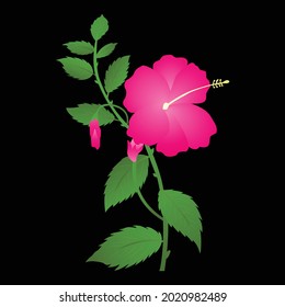 Flower Pink Rose Plants vector illustration
