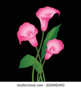 Blumenrosa Rosenpflanzen, Vektorgrafik