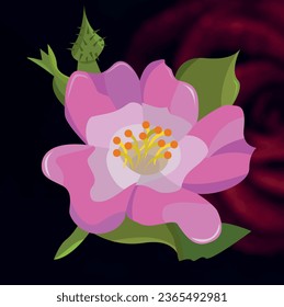 a flower with pink spread petals in pink color, made in vector graphics