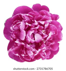 Flower pion halftone collage vector element for mixed media design