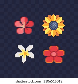 Flower pixel art icon. White Plumeria and Red Hawaiian flower, yellow sunflower isolated vector illustration. 8-bit sprite. Design stickers, logo spa, mobile app, embroidery.