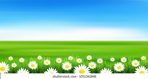 Flower plains landscape background