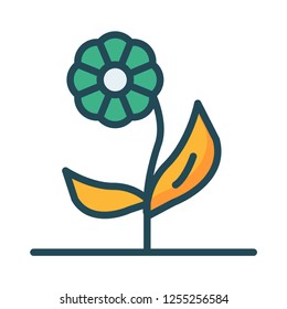 flower  plant   bloom 
