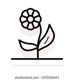 flower  plant   bloom 