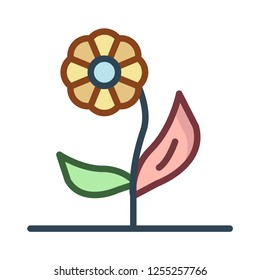 flower  plant   bloom 