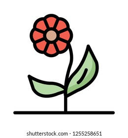flower  plant   bloom 