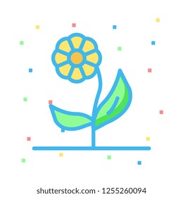 flower  plant   bloom 