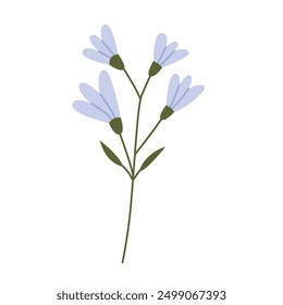 Flower plant. Blue wild flower. Colorful flat vector illustration isolated on white background.