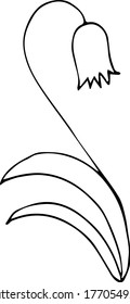 Flower plant drawn as a sketch. Flowering plant sketch.