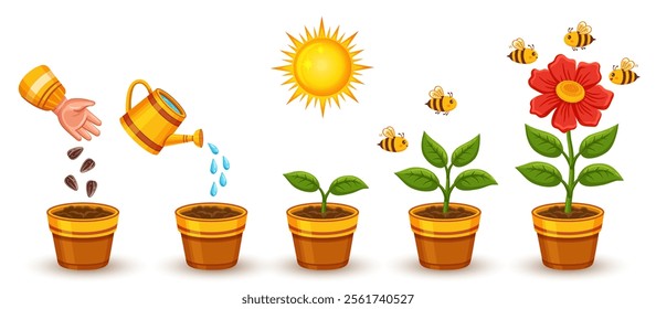 Flower plant growth stage, houseplant growing process, garden blooming herb life cycle icon set. Agriculture green sprout development phase. Botanical evolution from seedling to blossom sapling vector