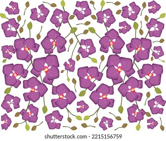 Flower and Plant, Illustration Background of Beautiful Purple Phalaenopsis or Doritaenopsis Orchid Flower Streak.
