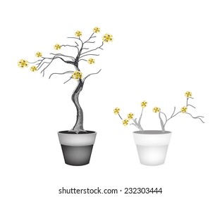 Flower and Plant, Illustration of Landscaping Tree Symbols or Isometric Trees and Plants with Yellow Flower for Garden Decoration. 