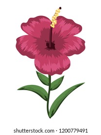 Flower plant isolated