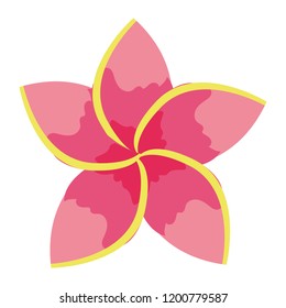 Flower plant isolated