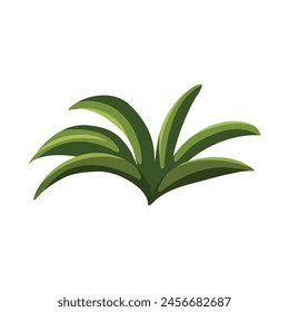 flower plant with leaves and foliage flora botany.