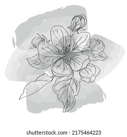 Ilustración lineal de la planta de flores ilustración de la acuarela plana