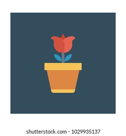 flower  plant nature
