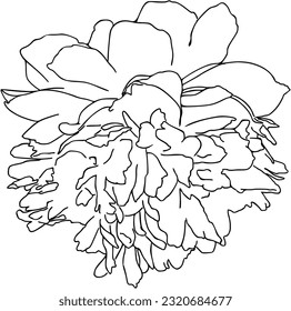flower plant nature bud doodle line cartoon coloring