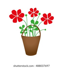 flower plant in a pot
