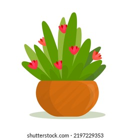 planta floral en la cacerola de ilustración vectorial plana	