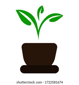 Flower, plant in a pot, green isolated on a white background for packaging design, print on fabric, card, postcard, notebook, notepad, wallpaper. Bio, organic, natural. Vector.