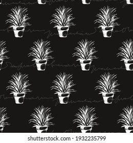 Flower plant in a pot seamless pattern, vector succulent, cactus hand drawn sketch isolated on black background