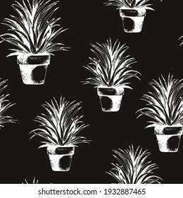 Flower plant in a pot seamless pattern, vector succulent, cactus hand drawn sketch isolated on black background