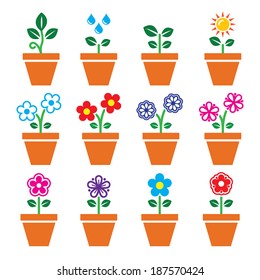 Flower, plant in pot vector colorful icons set