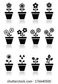 Flower, Plant In Pot Vector Icons Set