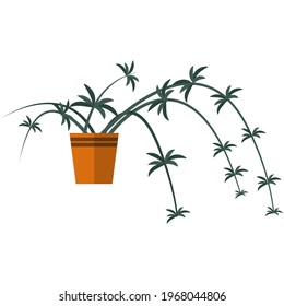 Flower plant in pot vector interior tree illustration