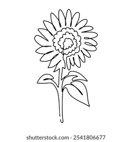 Flower Plant Tree Graphic Design Vector Line Art