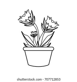 flower plant  vector illustration