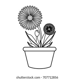 flower plant  vector illustration