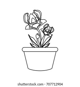 flower plant  vector illustration