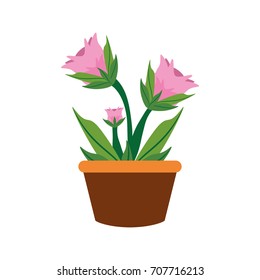flower plant  vector illustration