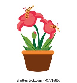 flower plant  vector illustration