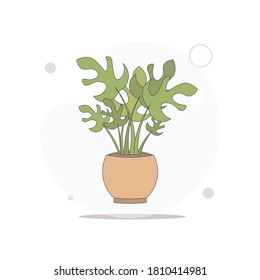 flower in the plantpot. home plant vector flat illustration on whitev