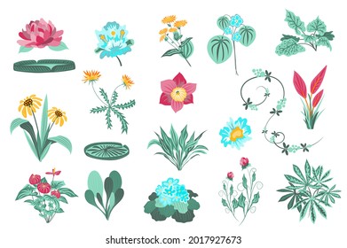 Blumen und Pflanzen einzeln. Garten und wildes Blattwerk, grüne Blätter, blühende Wildblumen, blühende Pflanzen, schöne Kräuter. Paket mit Blumenelementen. Vektorgrafik in handgezeichnet Design