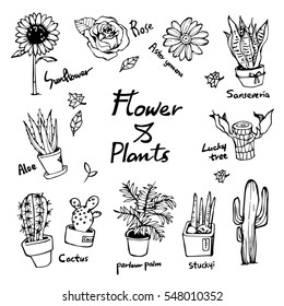 Flower & Plants theme doodle vector set