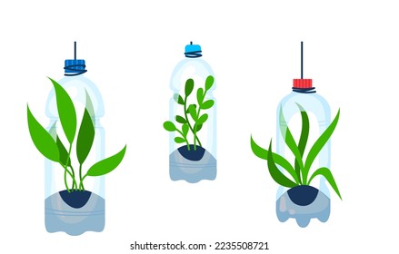 Flower in plastic bottle, vector illustration. Plant, grass decoration element in jar collection, vintage floral set. Reuse graphic design