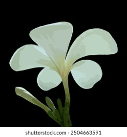 Flower plumeria, Champa, EPS, Outline, illustration