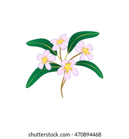 Flower plumeria icon in cartoon style isolated on white background. Plant symbol