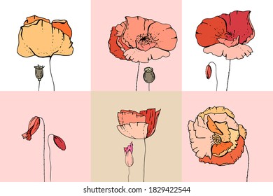 Apertura de flores. Diferentes elementos florales para la decoración de verano de temporada