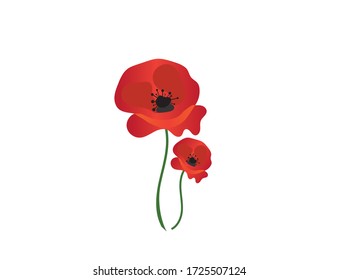 Flower (poppy) icon isolated on white background. Vector image.